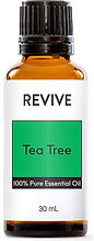 tea tree.jpg