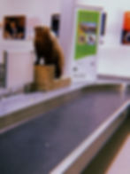 ree