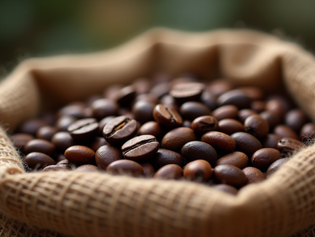 Discover What Makes Absolute Bearing Coffee Special