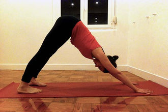 ADHO MUKHA SVANASANA - Enraizar as mãos