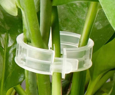 Plant Support Clips for Vines & Tomatoes – 100-Pack