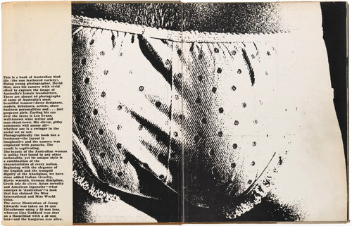 Made in Australia / David Mist デイビット・ミスト Made in Australia - David Mist | Bandits Bookshop