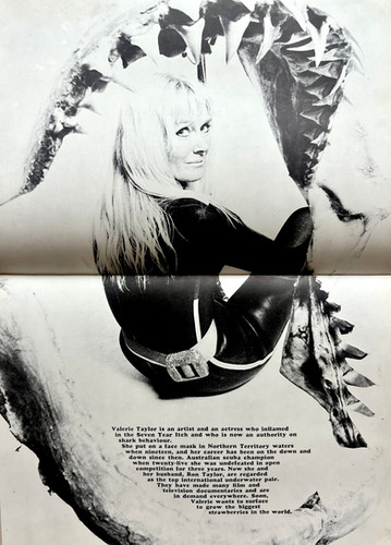 Made in Australia / David Mist デイビット・ミスト Made in Australia - David Mist | Bandits Bookshop