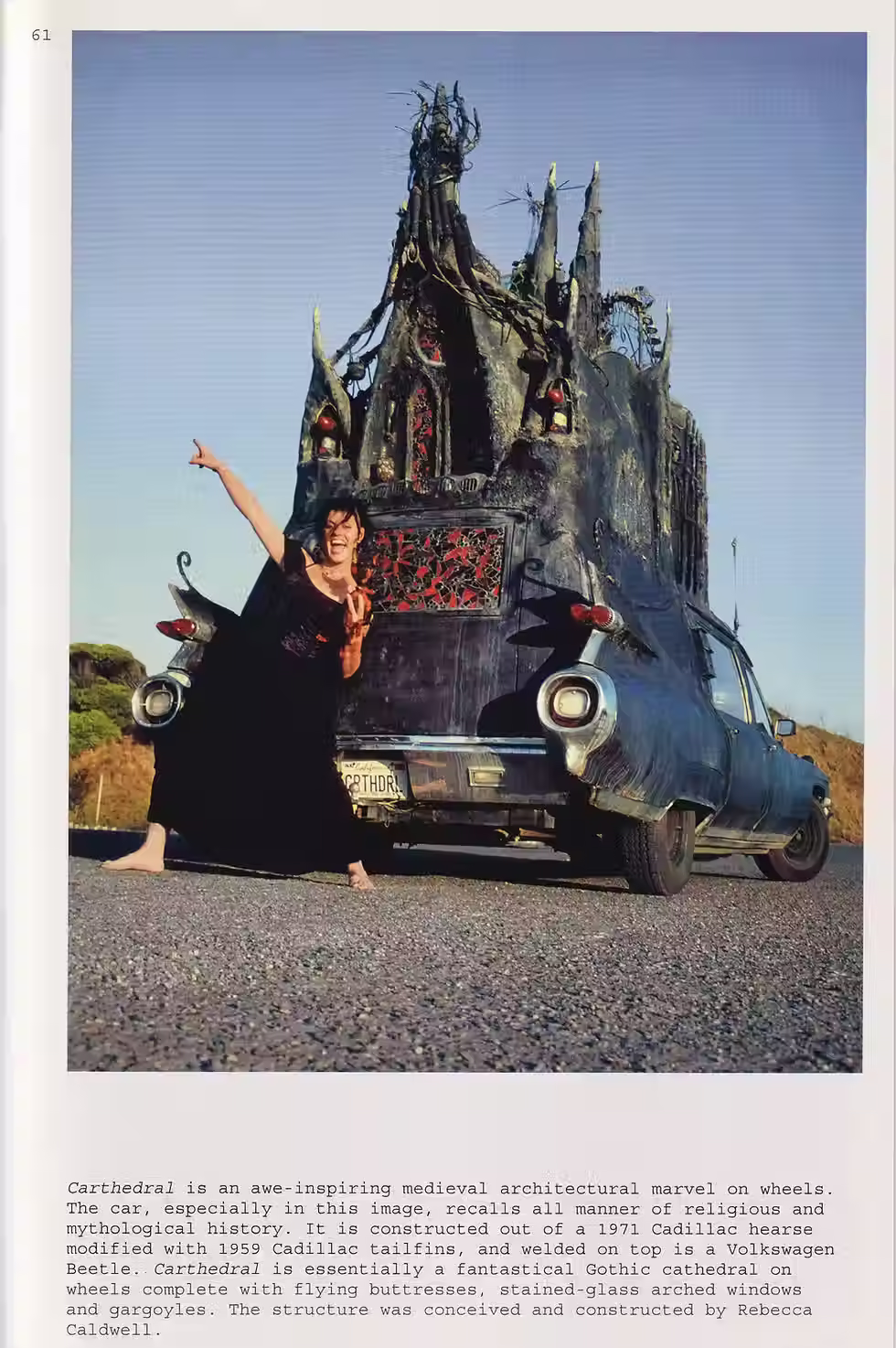 Thumbnail: Wild Art - David Carrier & Joachim Pissarro