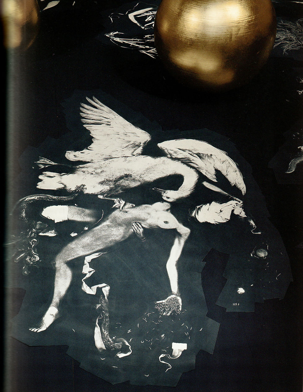 Thumbnail: Helen Chadwick - A Retrospective