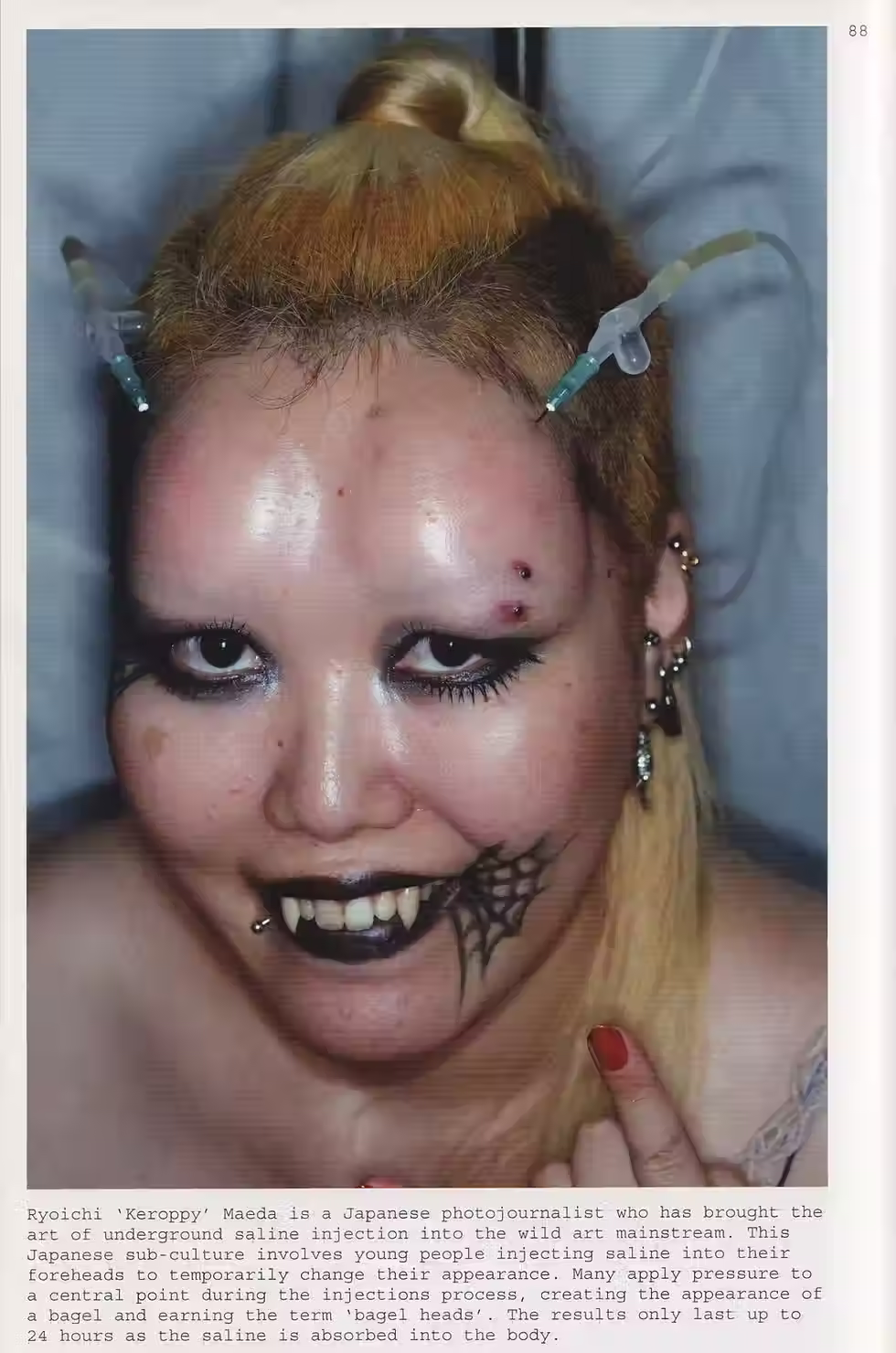 Thumbnail: Wild Art - David Carrier & Joachim Pissarro