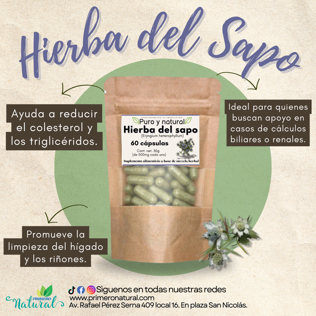 Hierba del Sapo 60 caps 500 mg