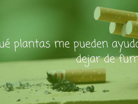 ¿Qué plantas me pueden ayudar a dejar de fumar?