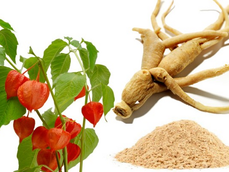 Ashwagandha