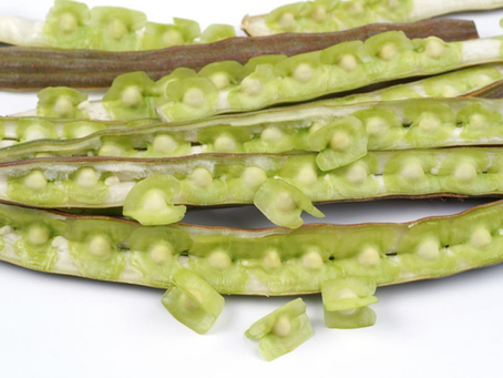Moringa: Beneficios, riesgos y efectos secundarios¿Qué hay en la moringa?¿Cuáles son sus beneficios?