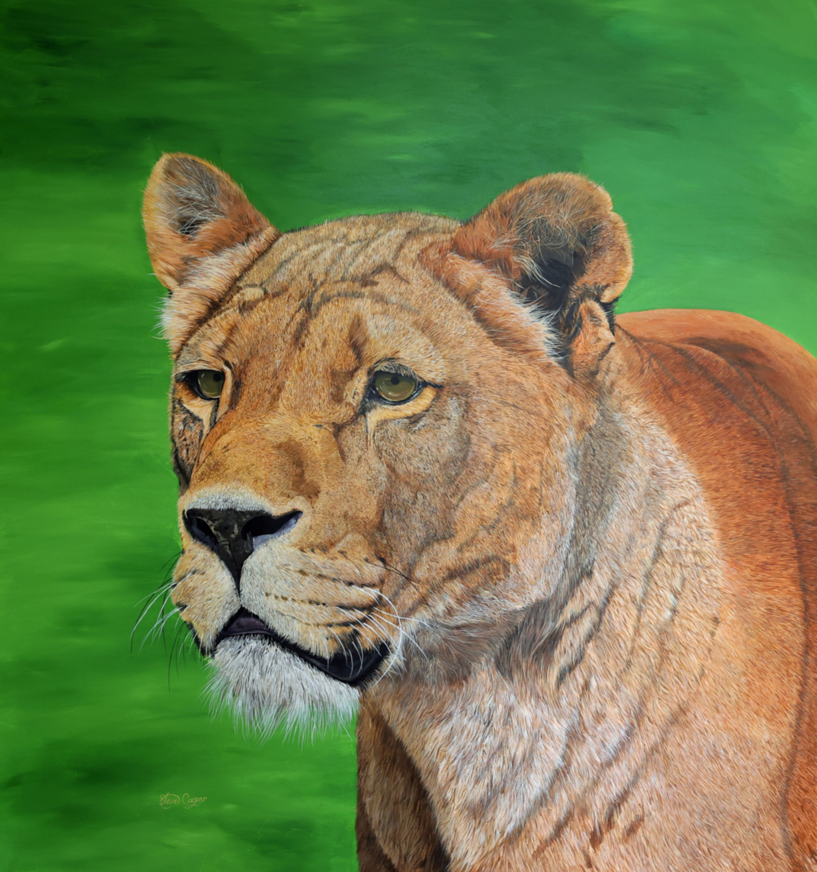 Searching for her partner