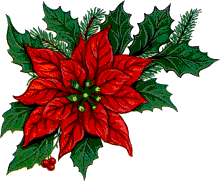 flor-de-navidad-imagen-animada-0027.gif