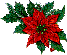 flor-de-navidad-imagen-animada-0024.gif