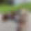 Miniature : Parallettes Moyennes Personnalisables