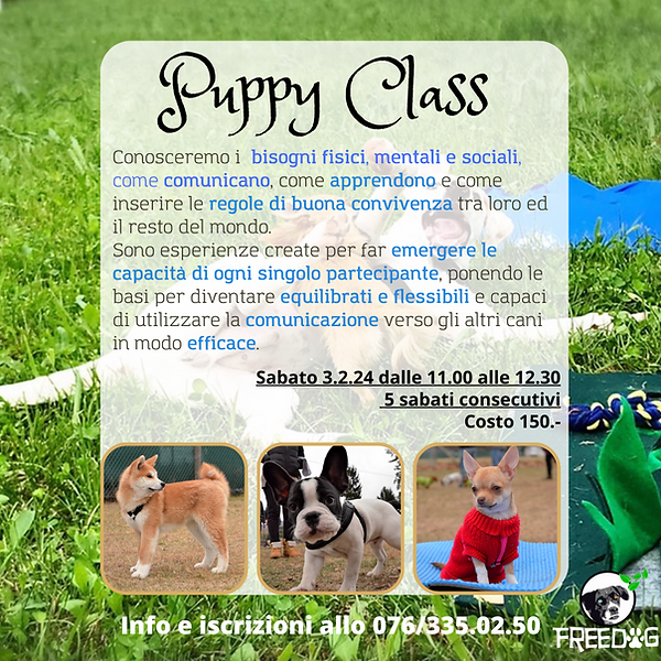 Copia di Copia di Dogs Trekking (1).png