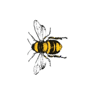 Bee-4-L.png