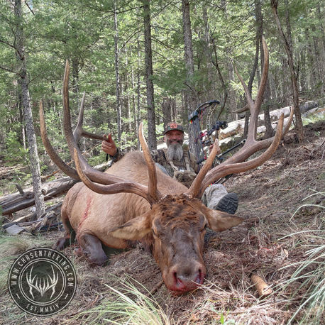 Arizona Elk Hunt Draw: What Units Should I Apply For? 