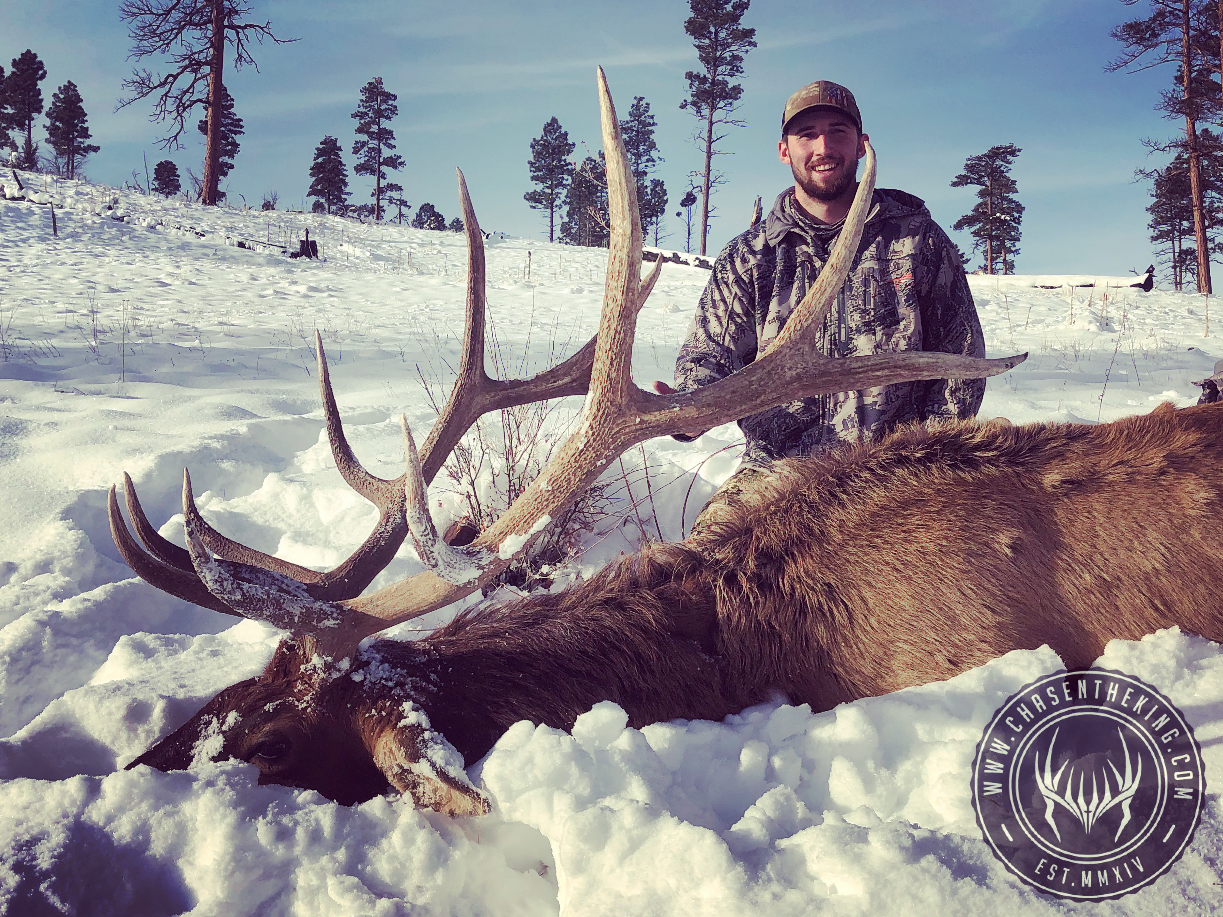 elk hunting elk hunting