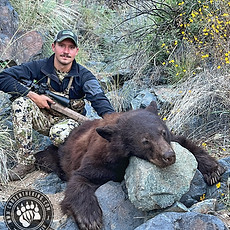 Arizona OTC rifle black bear 82