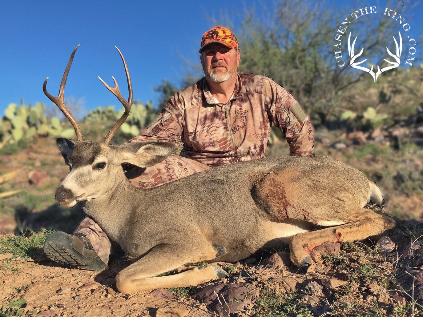 Arizona Mule Deer Guides and Outfitters CHASE'N THE KING, LLC