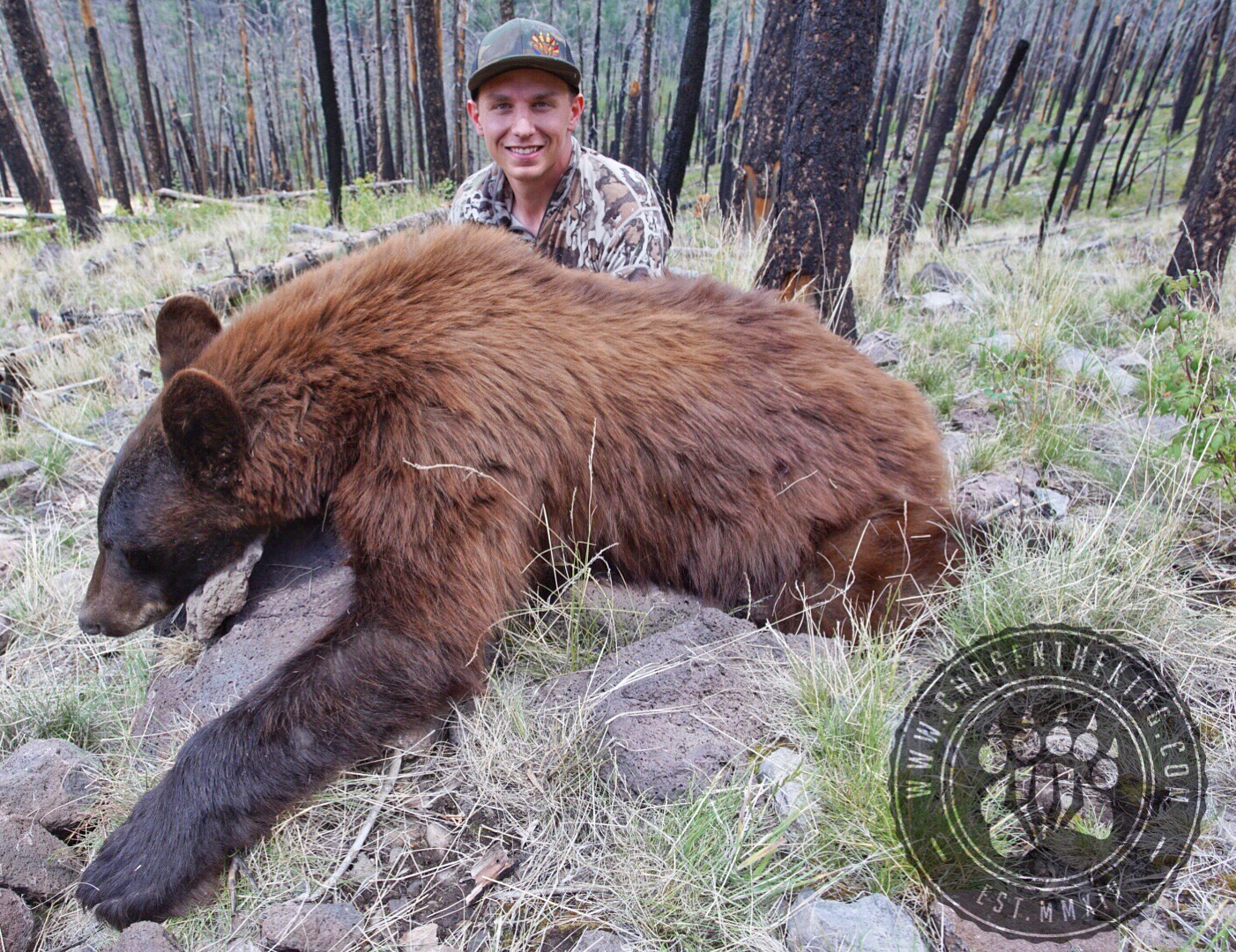 Arizona Black Bear Guides CHASE'N THE KING, LLC