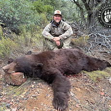 Arizona OTC rifle black bear 92