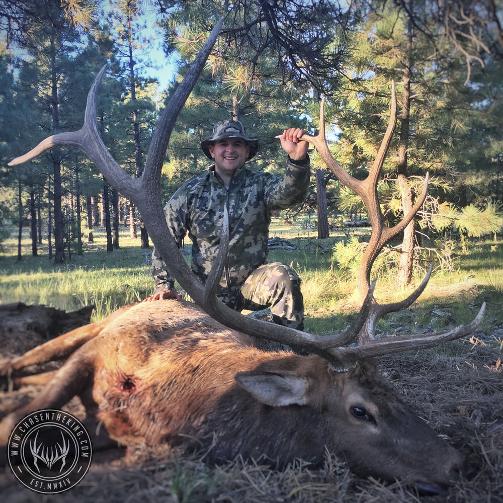 5BS / 5BN Early Archery Bull Elk Hunt Overview