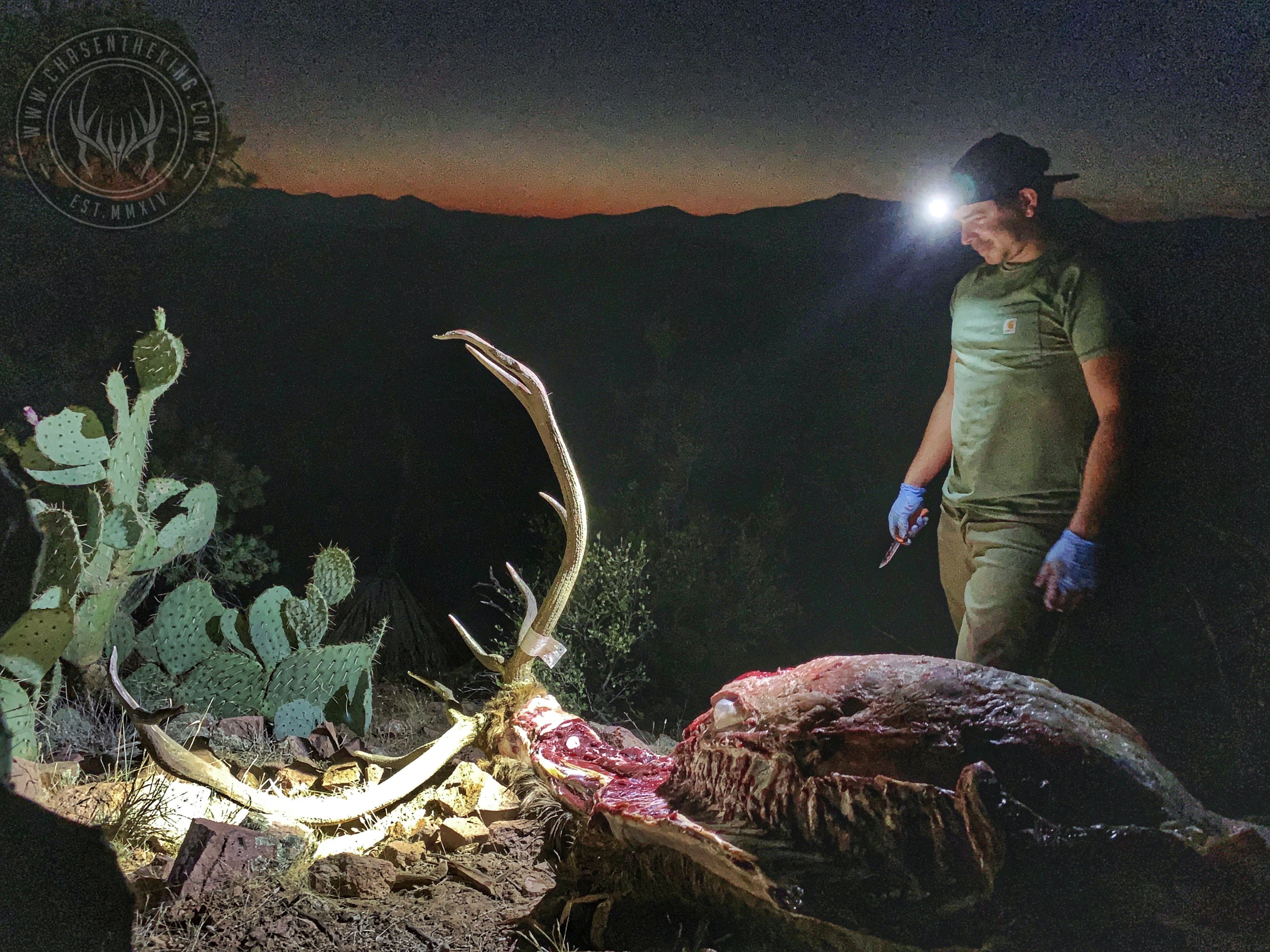 Arizona Elk Units - csgloiz