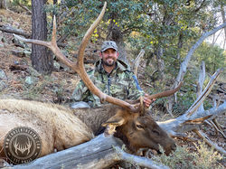 Unit 23 late season rifle bull elk 1