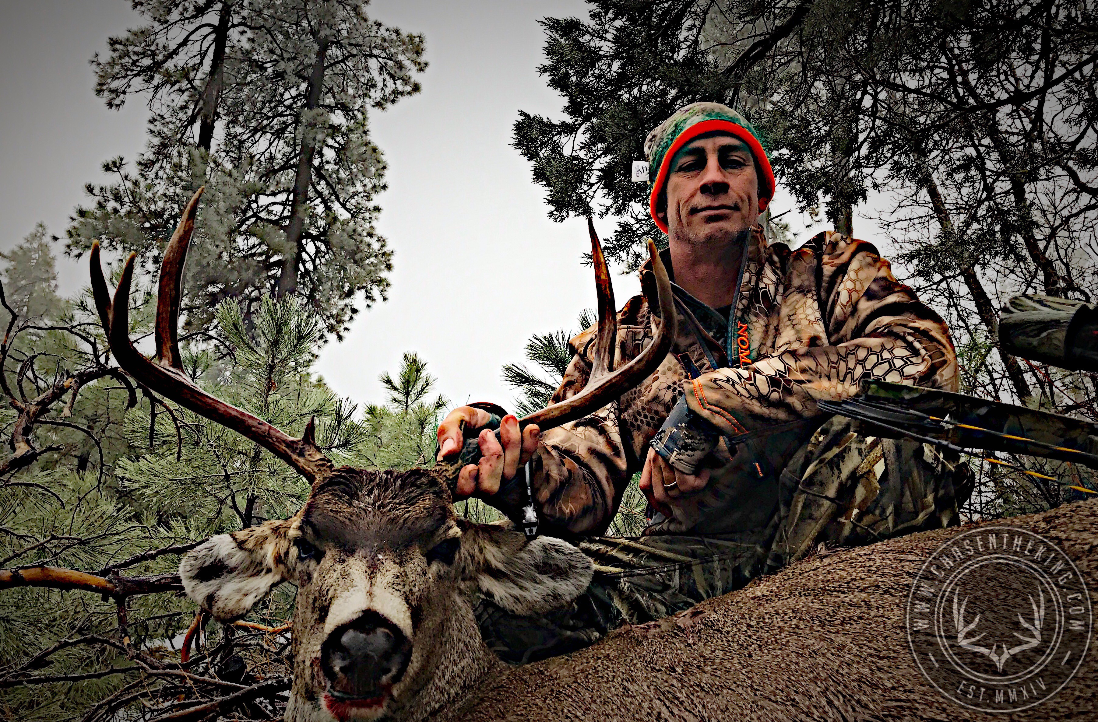 Arizona Mule Deer Guides And Outfitters CHASE N THE KING LLC