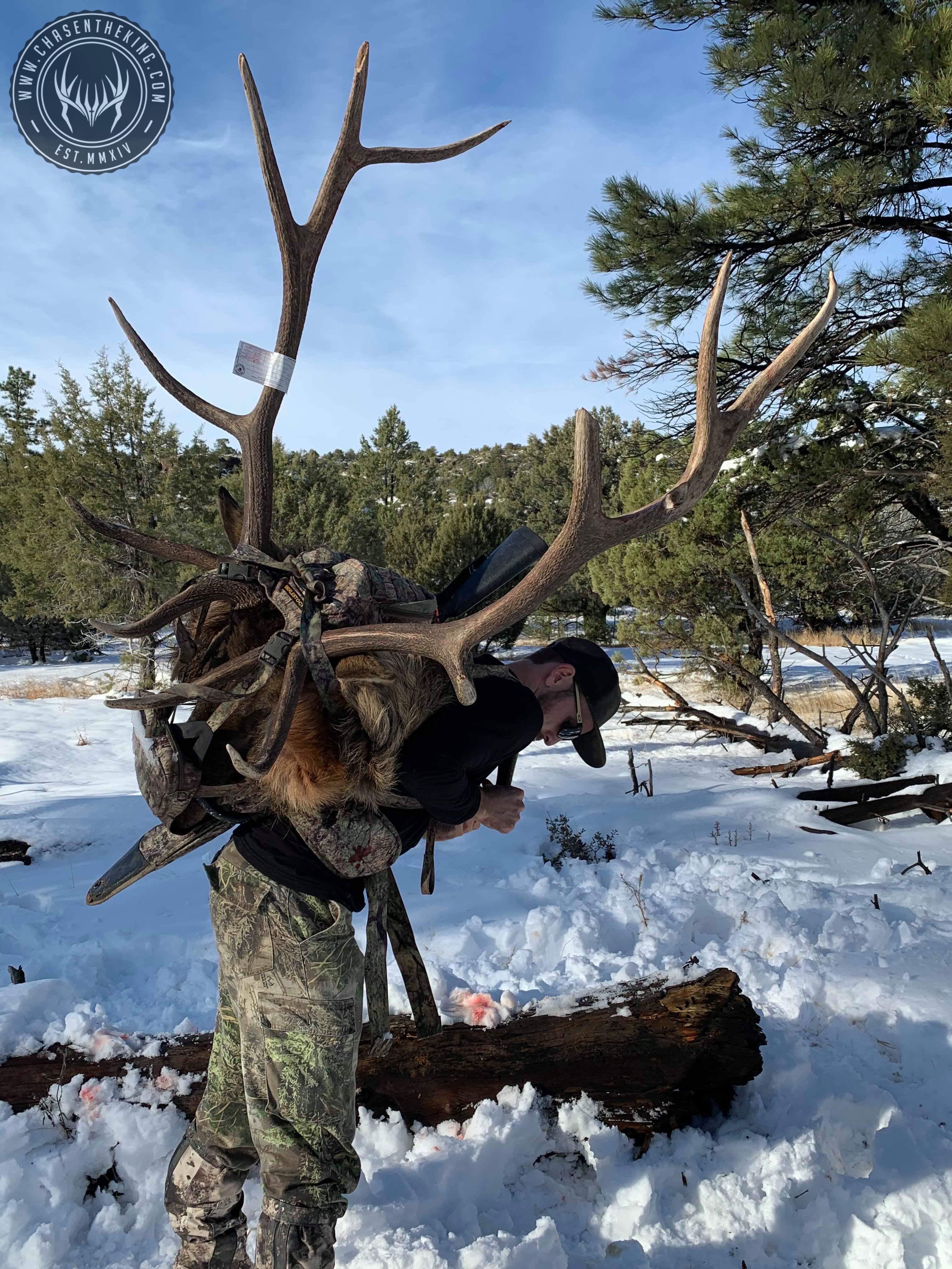 Arizona Elk Units - i4cvgp5