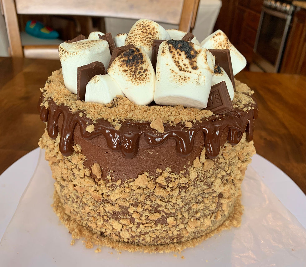 s'mores cake- sammys