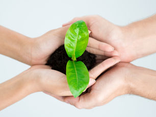 האם מי שמגיע למעקב אחרי ניתוח בריאטרי יורד יותר במשקל?