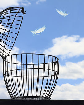 המלצות יפית קסלר דיאטנית בריאטרית