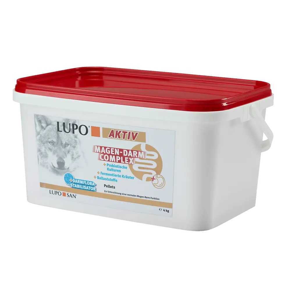 Thumbnail: LUPO AKTIV supplement to support the normal function of the gastrointestinal tract