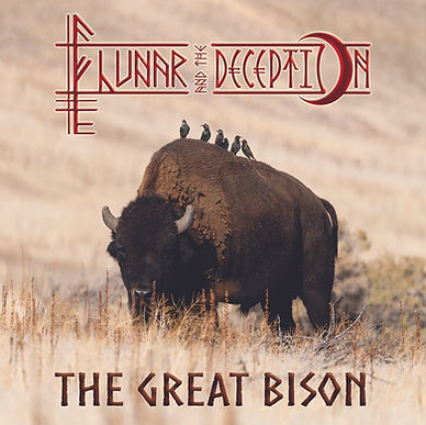 BISON COVER.jpg