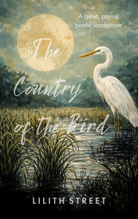 The Country of the Bird large.png