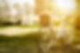 AdobeStock_478799278.jpeg
