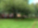 20190903_082352484_iOS.jpg