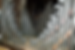 _0001_Reddish-St-Elisabeth---2.png