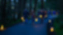 20241221 SSS Luminaria 0434-Enhanced-NR.jpg