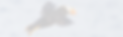 _L9A1627-CR3_DxO_DeepPRIME-Edit (1)_edited_edited_edited.png