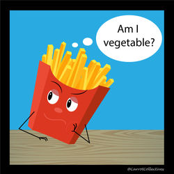 Fries are vegetable
