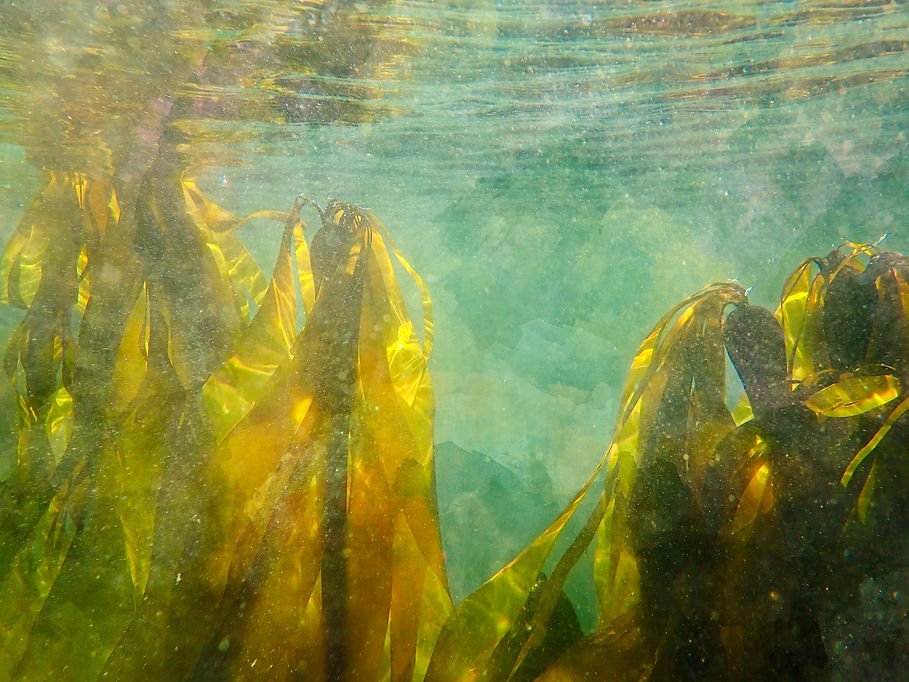 P6200239.jpg