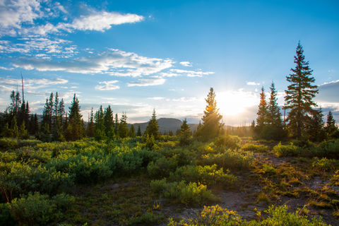 Flat Top Wilderness Sunset