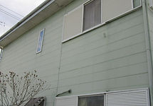 IMG_0229_edited.jpg