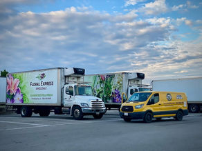 The Hidden Benefits of Regular Car Detailing Most Kitchener Drivers Don’t Know About