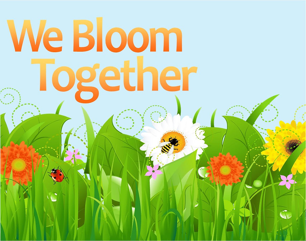 Thorp School District