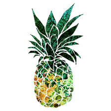 IMG_8500.PNG