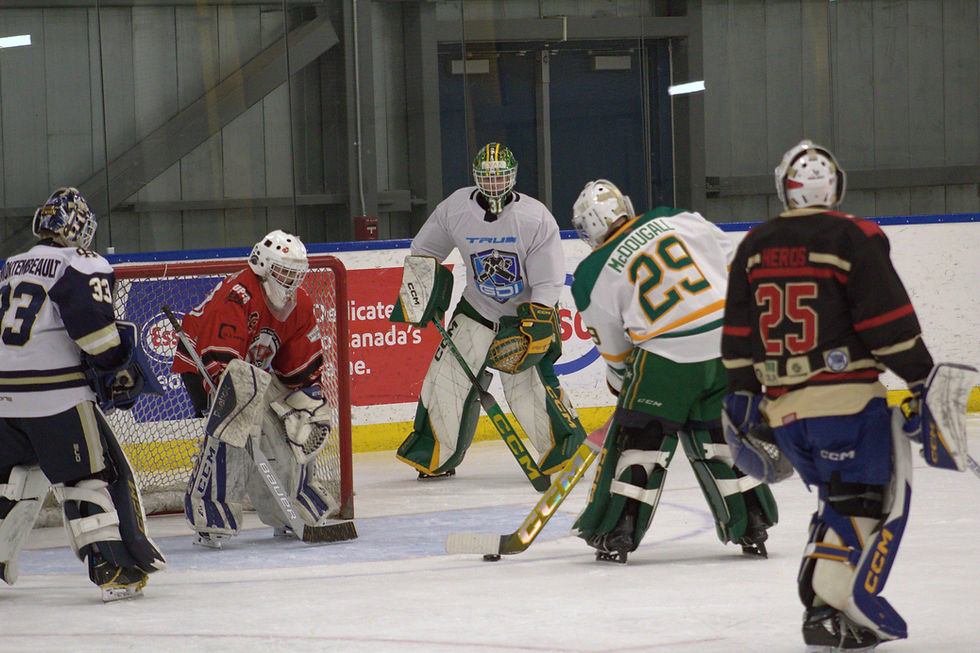 visual of Be A Budd Collective members skating on the ice with SuperHEROS during the cheque presentation skate in 2025